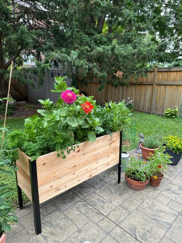 Customer photo review of 18" x 48" Raised Garden Bed - 30" TALL