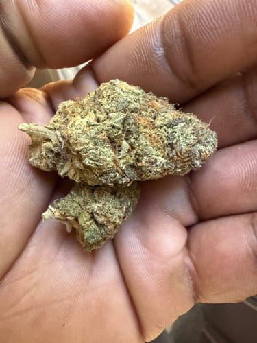 Customer photo review of Zoap - 28 Grams - hybrid