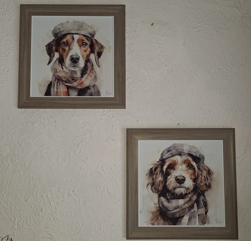 Customer photo review of Jack By Joanne Lea  **Delivers Next Day**