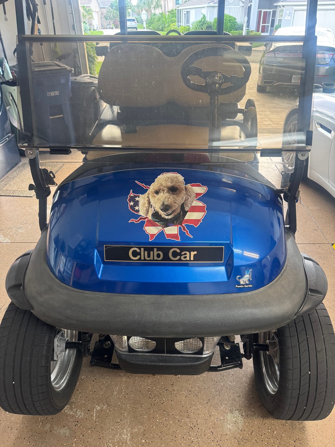 Customer photo review of Peeking photo – Personalized Car Sticker
