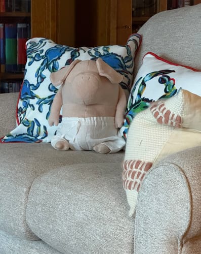 Customer photo review of HELMUT, LE COCHON - GRAND