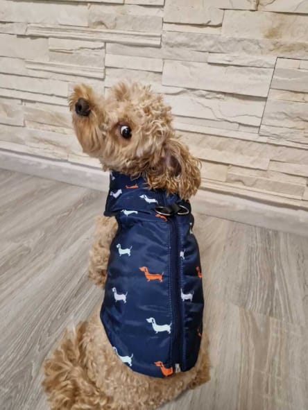 Customer photo review of PawCozy - Gevoerde Rits Hondenjas