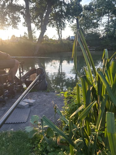 Customer photo review of CARPE EXTRUDEE (PURPLE PELLET)