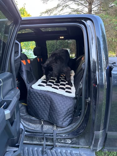 Customer photo review of RuffRover 2.0™ - Hard Bottom Back Seat Extender + (FREE Dog Bed)
