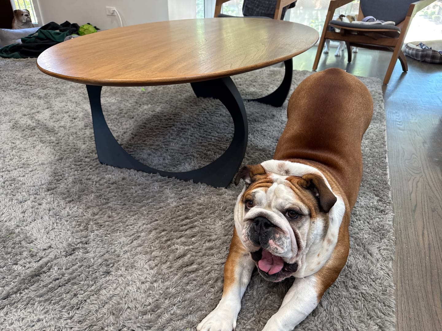 Customer photo review of Coffee Table Legs 212 Cleo 16H Modern DIY Furniture
