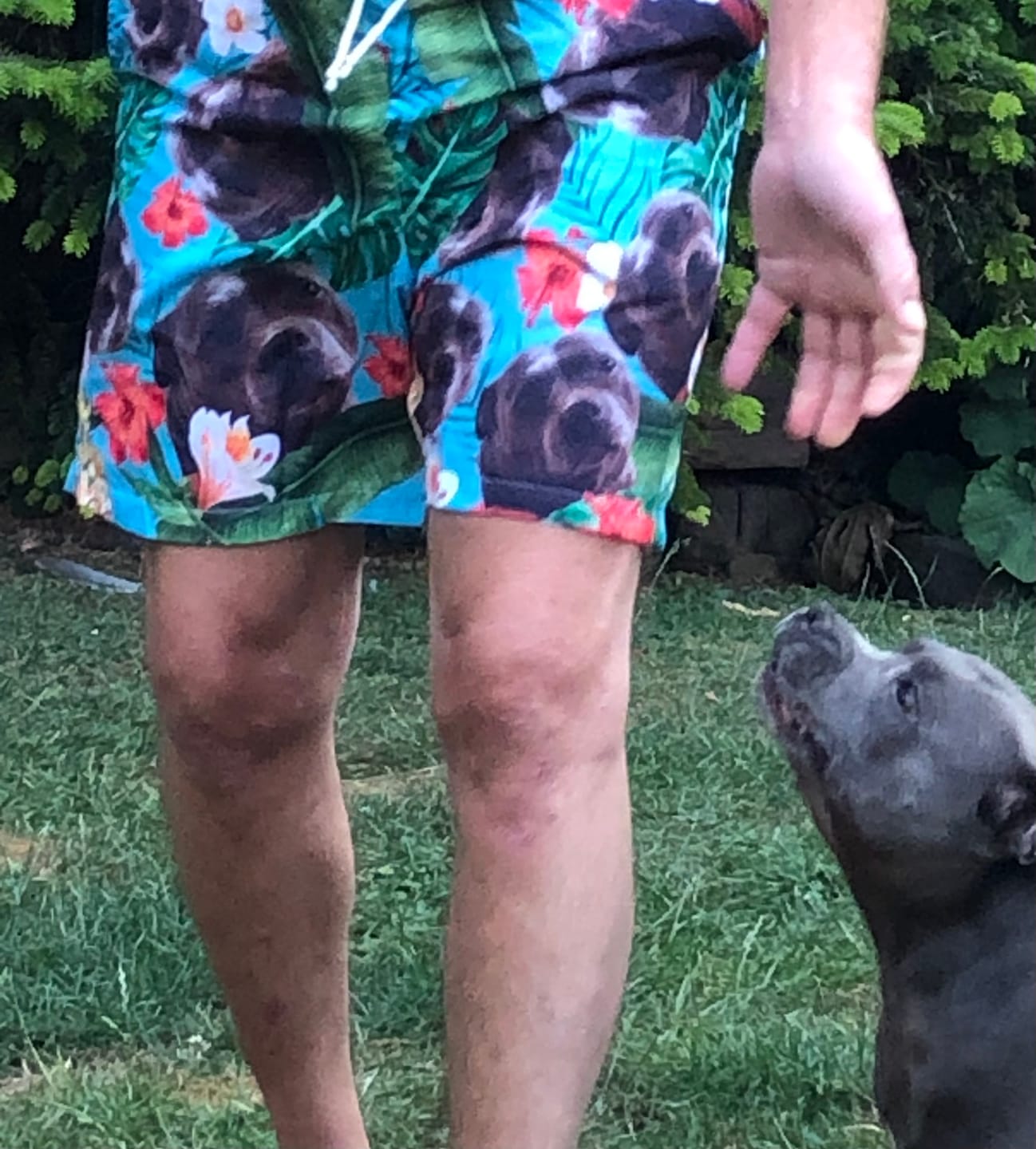 Customer photo review of Your photo - Personalised Swim Shorts