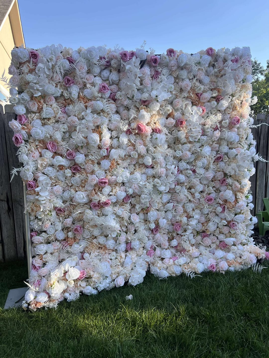 Customer photo review of AliFlowers 5D Champagne White Rose Flower Wall for Wedding Backdrop ALFWL029
