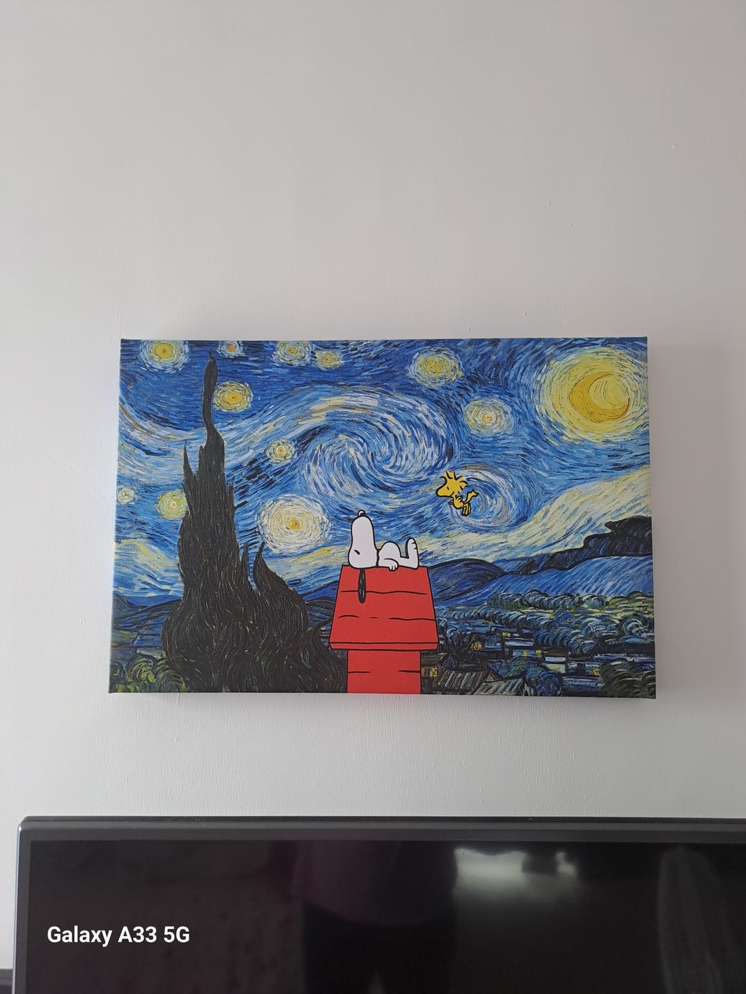 Customer photo review of Noche Estrellada Snoopy & Emilio