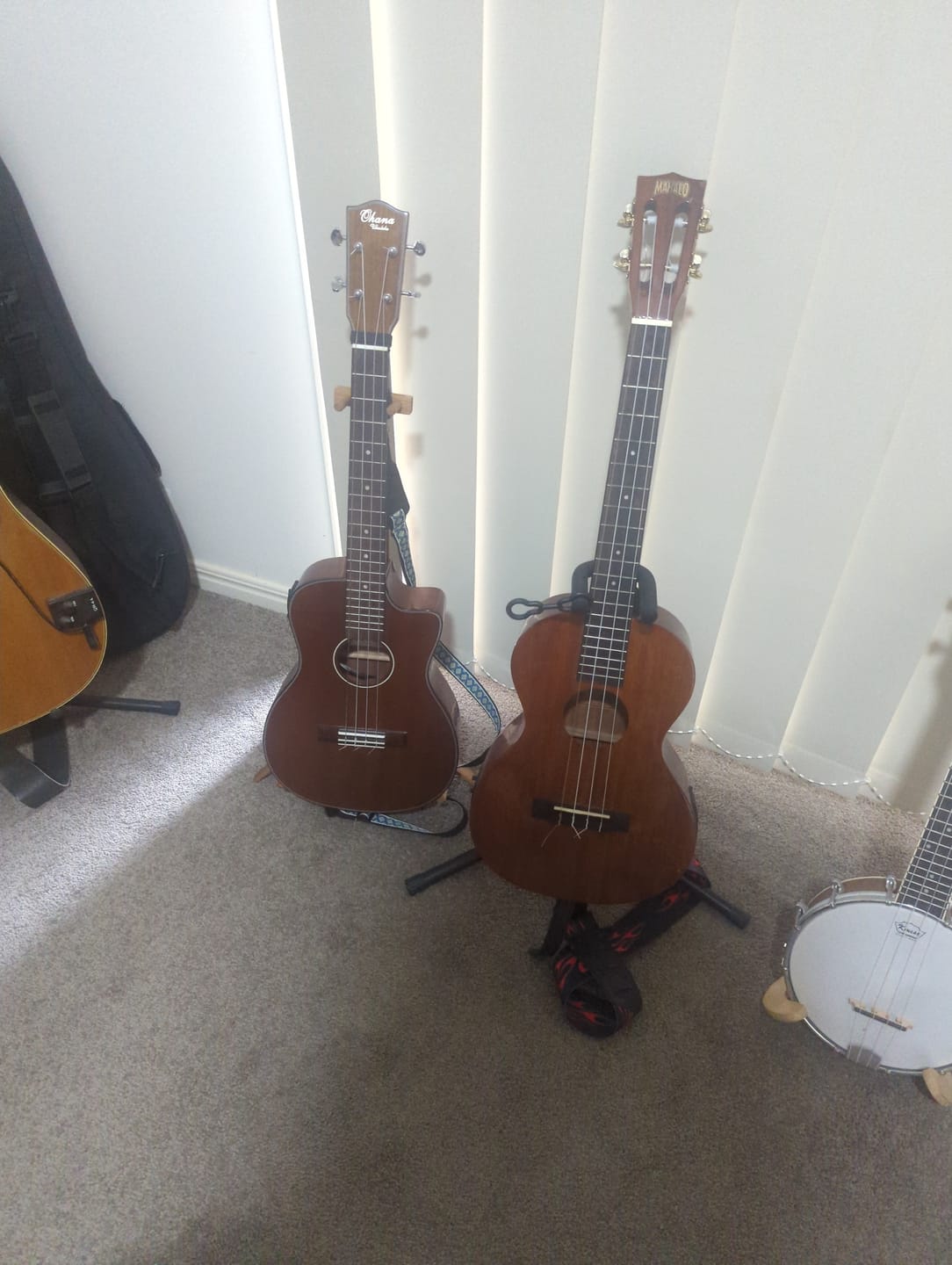 Customer photo review of AQ16U Aquila Tenor Low G 4th Ukulele String Wound Low G X 2