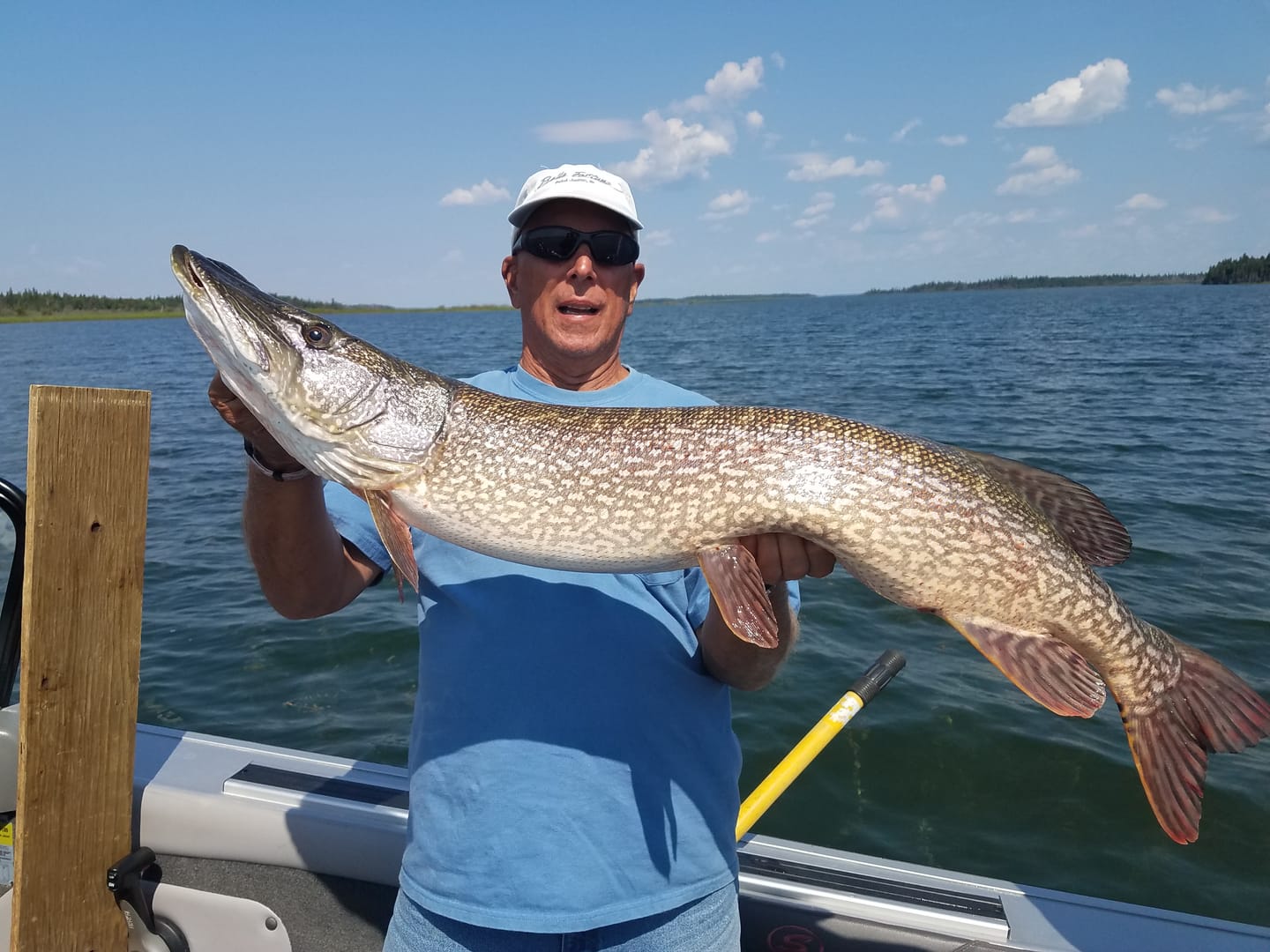 Customer photo review of Soft Bait Spinner Tail Swimbait
