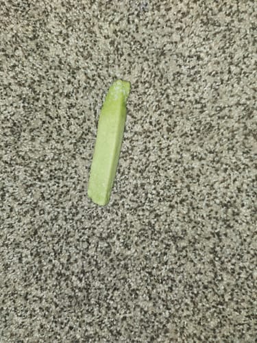 Customer photo review of 4-Stick Yak Chew Pack – Mint, Banana, Strawberry & Pumpkin