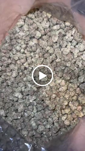 Customer video review of Raspberry Kush - Bulk - (Indica)