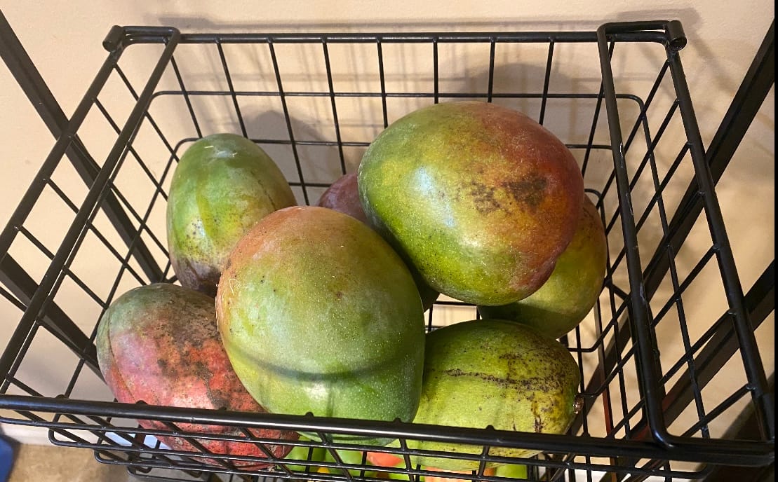 Customer photo review of Mango Mix Box