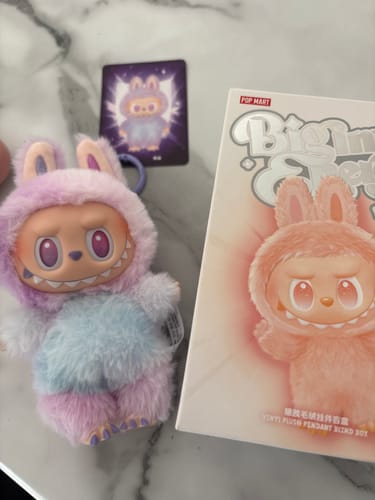 Customer photo review of Pop Mart Labubu The Monsters Big into Energy Series Vinyl Plush Pendant Single Blind Box