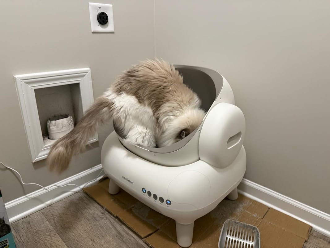 Customer photo review of Neakasa M1 Lite Automatische Katzentoilette