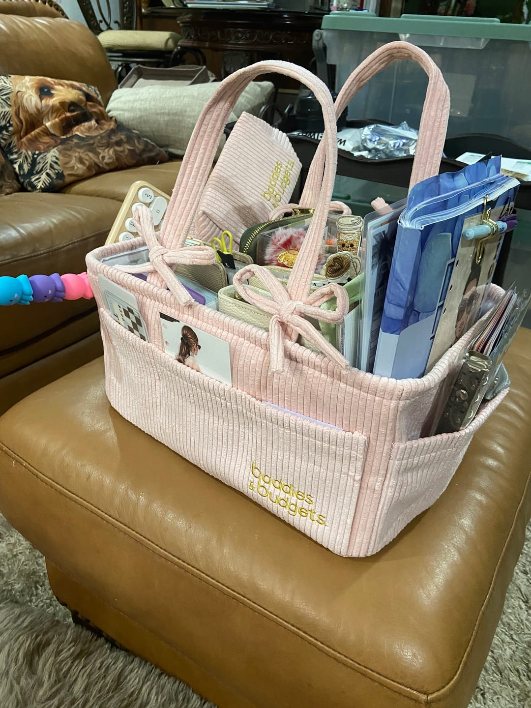 Customer photo review of Binder Caddy