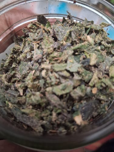 Customer photo review of Exotic Shake