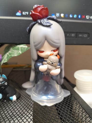 Customer photo review of Laplly Vintage Memory Series Blind Box