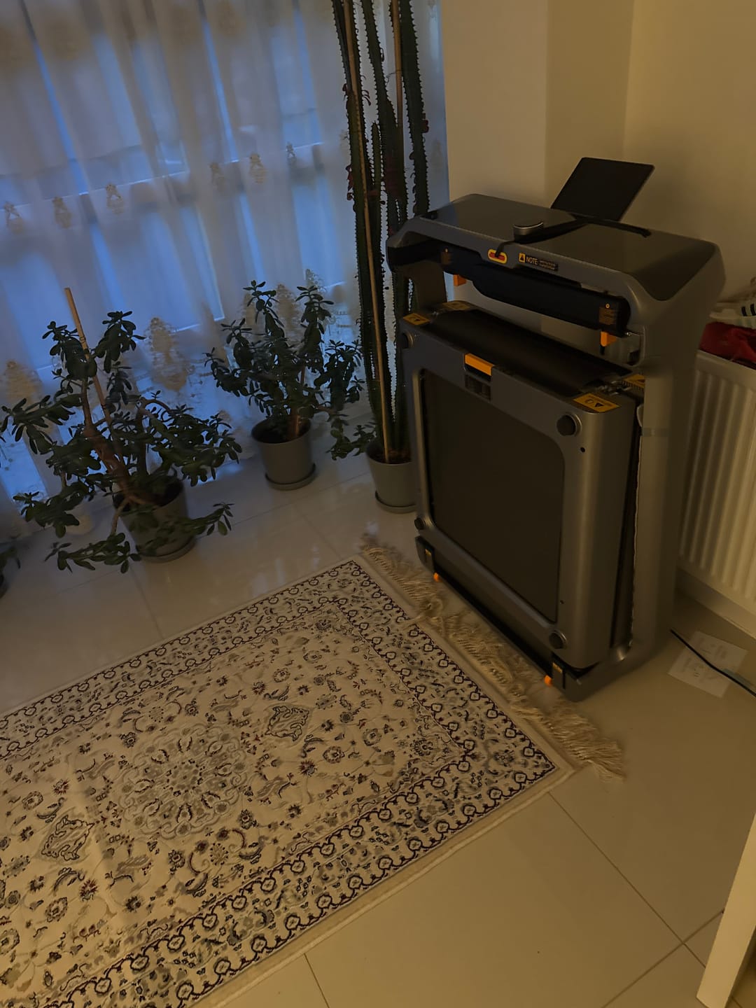 Customer photo review of WalkingPad X218