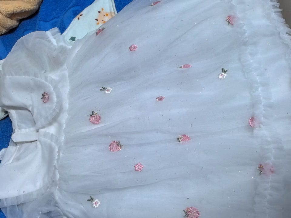 Customer photo review of Dave&Bella Girls Summer Bubble Sleeve Mesh Birthday Dress (free wallet bag)
