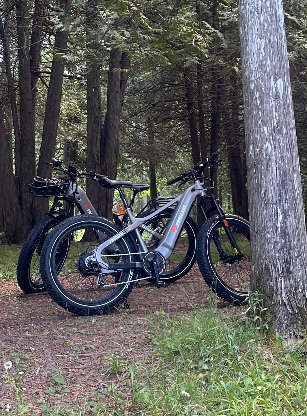 Customer photo review of FREEDARE Suspension Seatpost