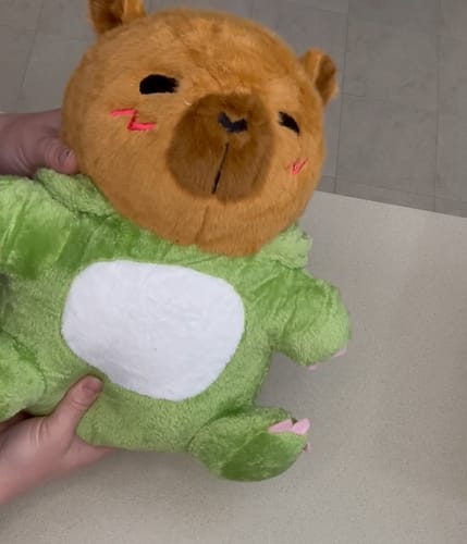 Customer photo review of 32CM OLAOLA Original Cute Capybara Dinosaur Dolls Soft Stuffed Dolls Animals Plush Toys Dino Plushies Birthday Gift