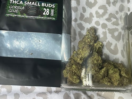 Customer photo review of Gorilla Glue THCA Flower