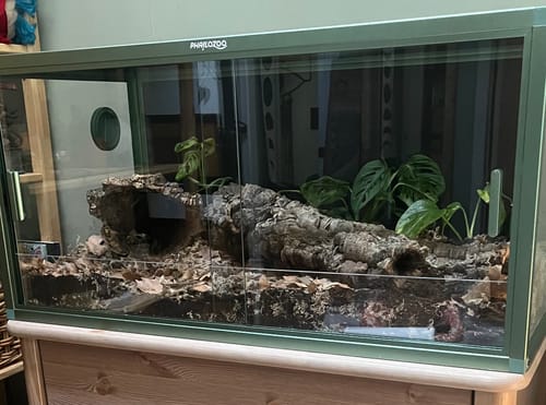 Customer photo review of 50 Gallon Reptile Enclosure 36x18x18