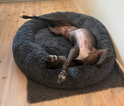 Customer photo review of CalmBed - Motverkar stress & hjälper mot ångest