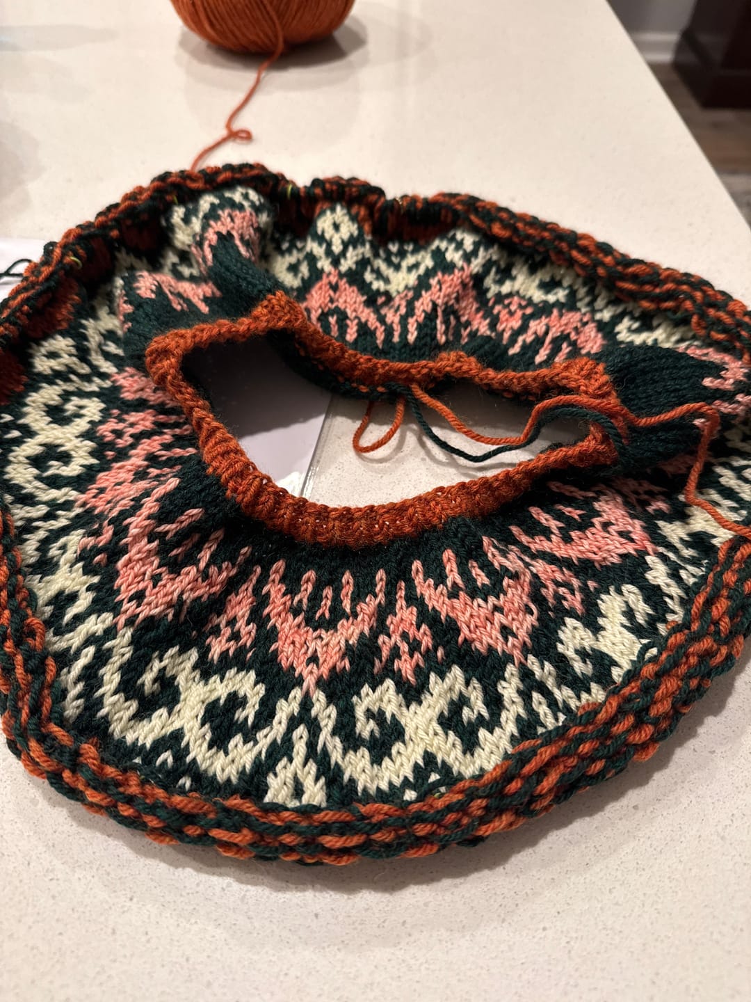 Customer photo review of Cascade 220 Superwash Wool Knitting Yarn