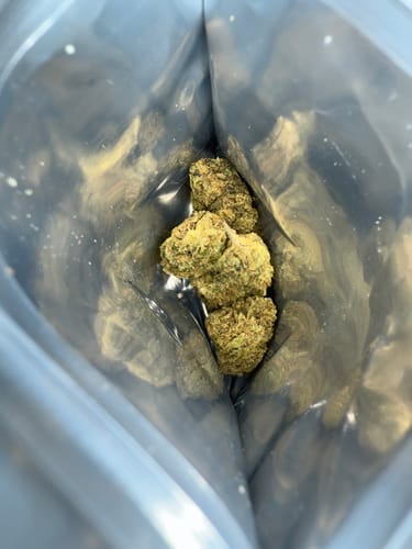 Customer photo review of Magic Melon THCA Flower