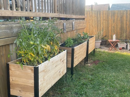 Customer photo review of 18" x 48" Raised Garden Bed - 30" TALL