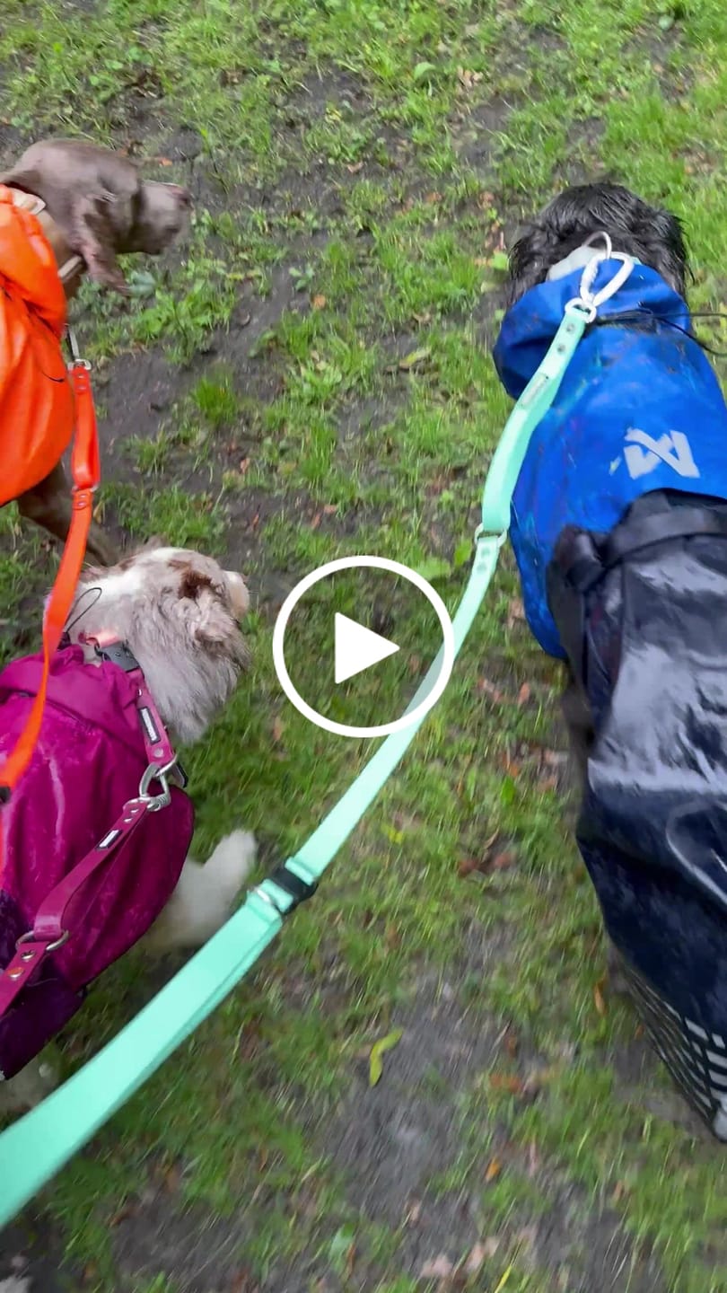 Customer video review of The Multi QuickLead™ - Dog Leash