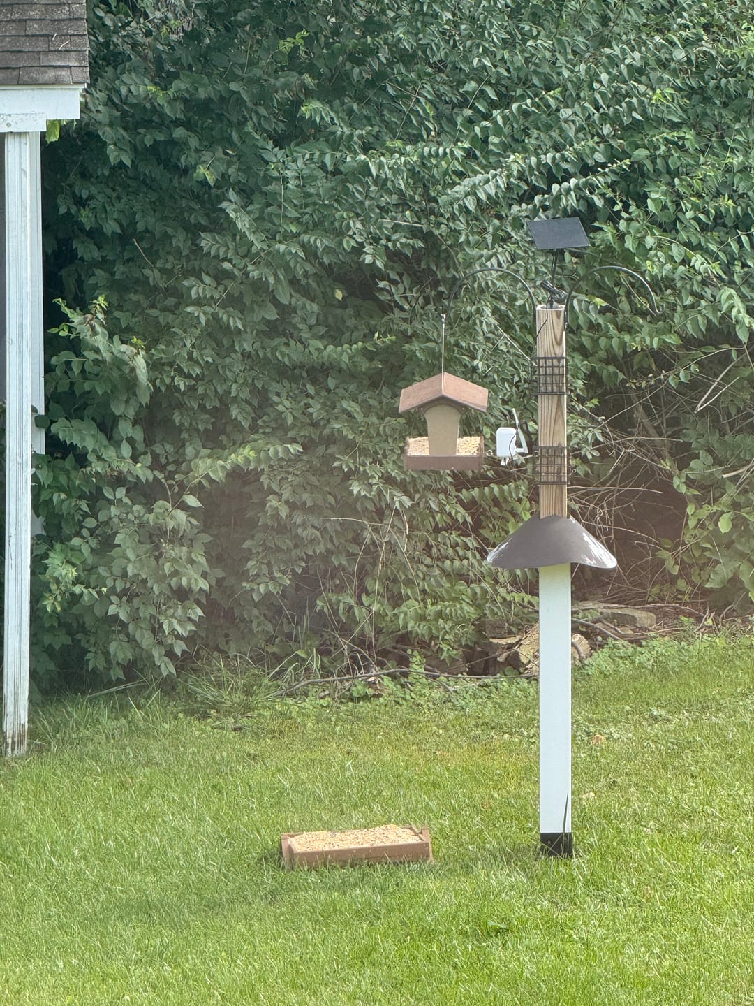 Customer photo review of Birdfy Solar Panel (Type C) - Bird Feeder Camera Solar Panel