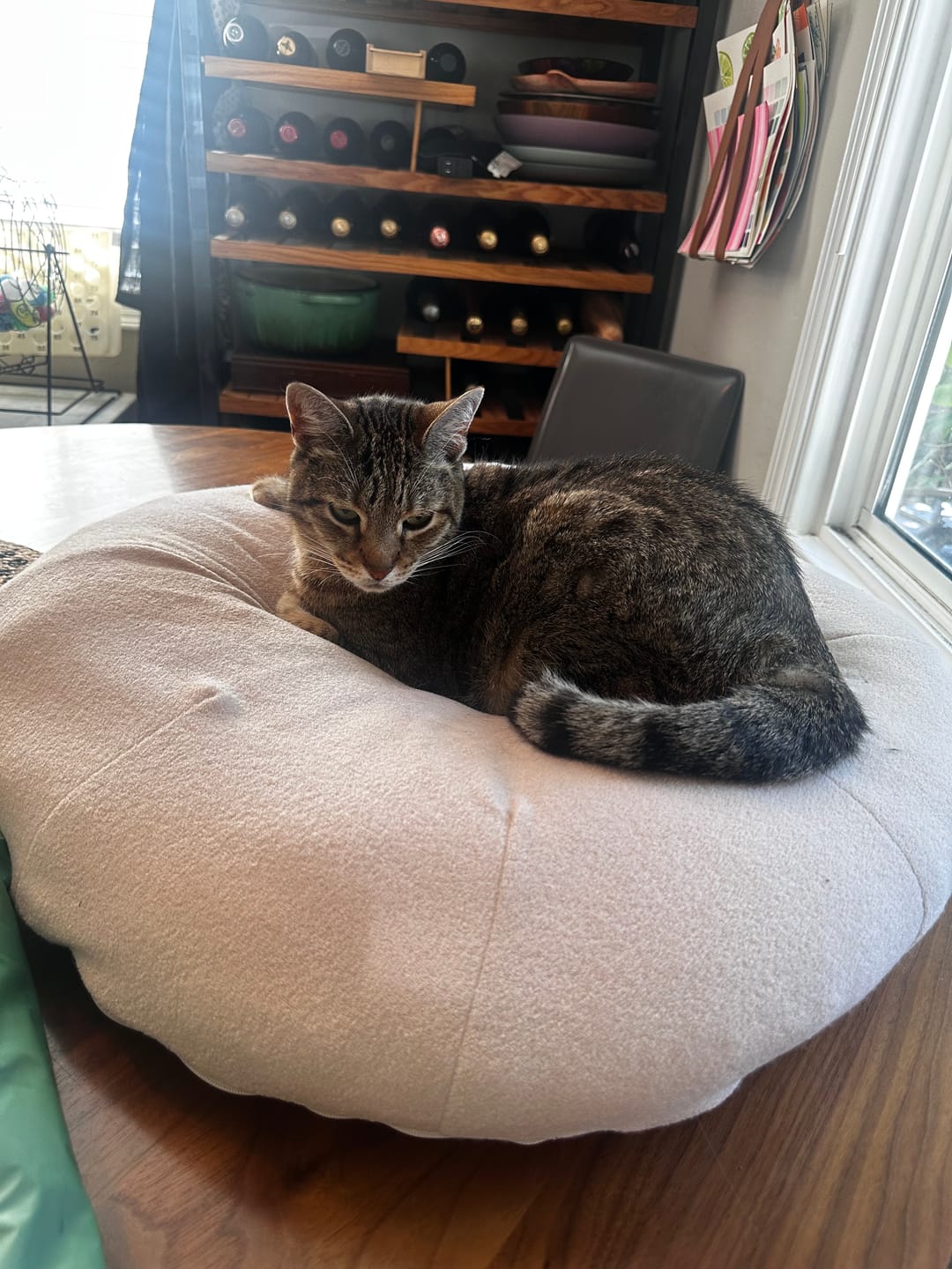 Customer photo review of Pina Colada Pudding Bed