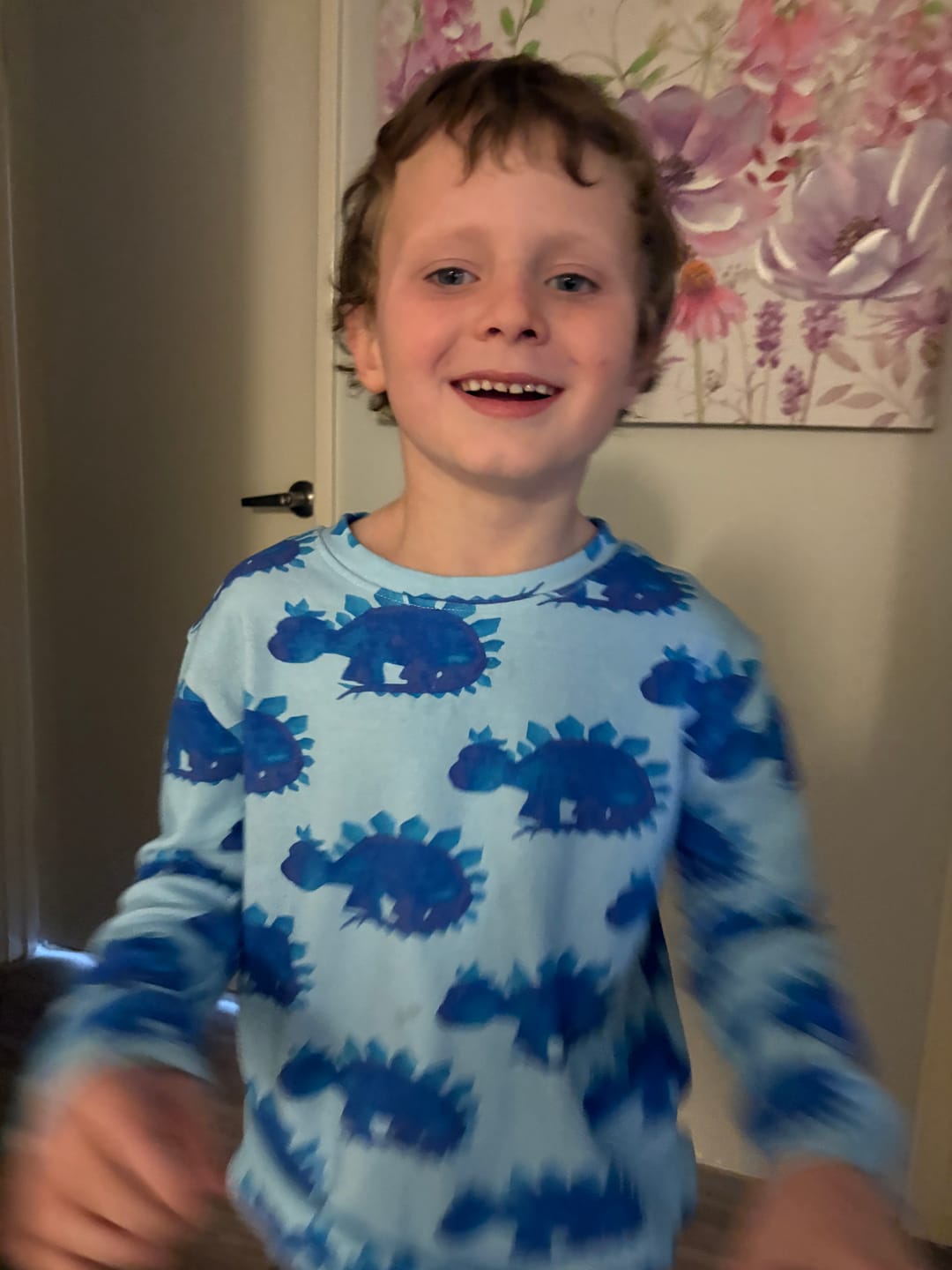 Customer photo review of PREORDER Vintage Stegosaurus Kids' Jumper (Ships w/c 21st April)