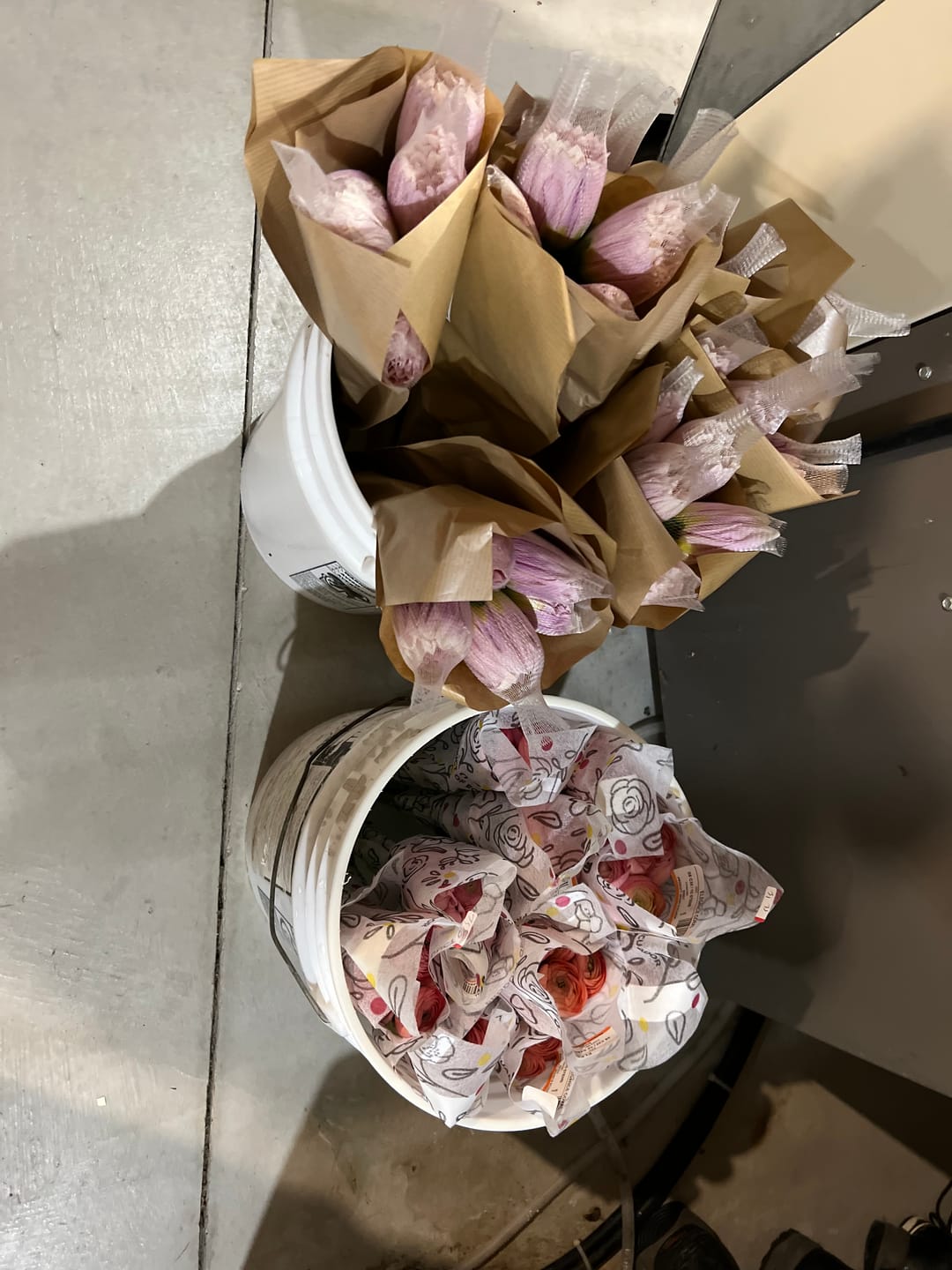 Customer photo review of Coral Peach Ranunculus
