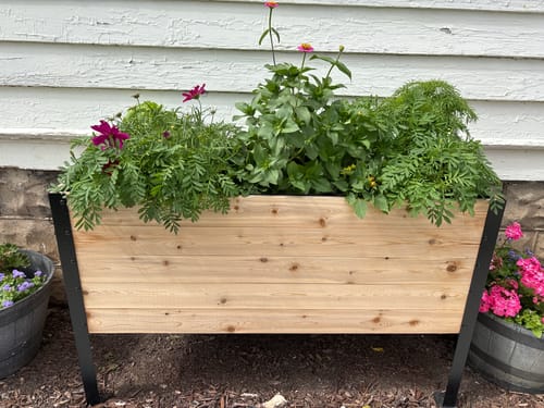 Customer photo review of 18" x 48" Raised Garden Bed - 30" TALL