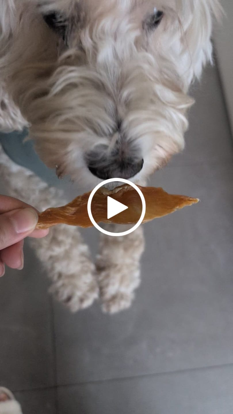Customer video review of Premium Chicken Chews