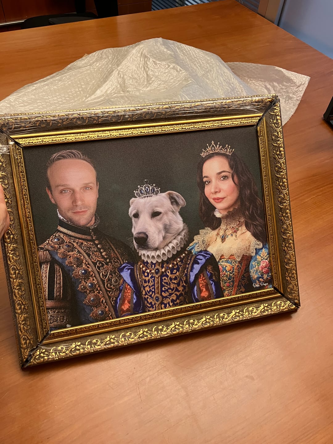 Customer photo review of The Sovereign Companions