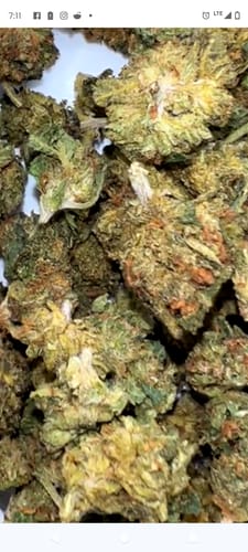 Customer photo review of El Chapo THCA Flower Smalls