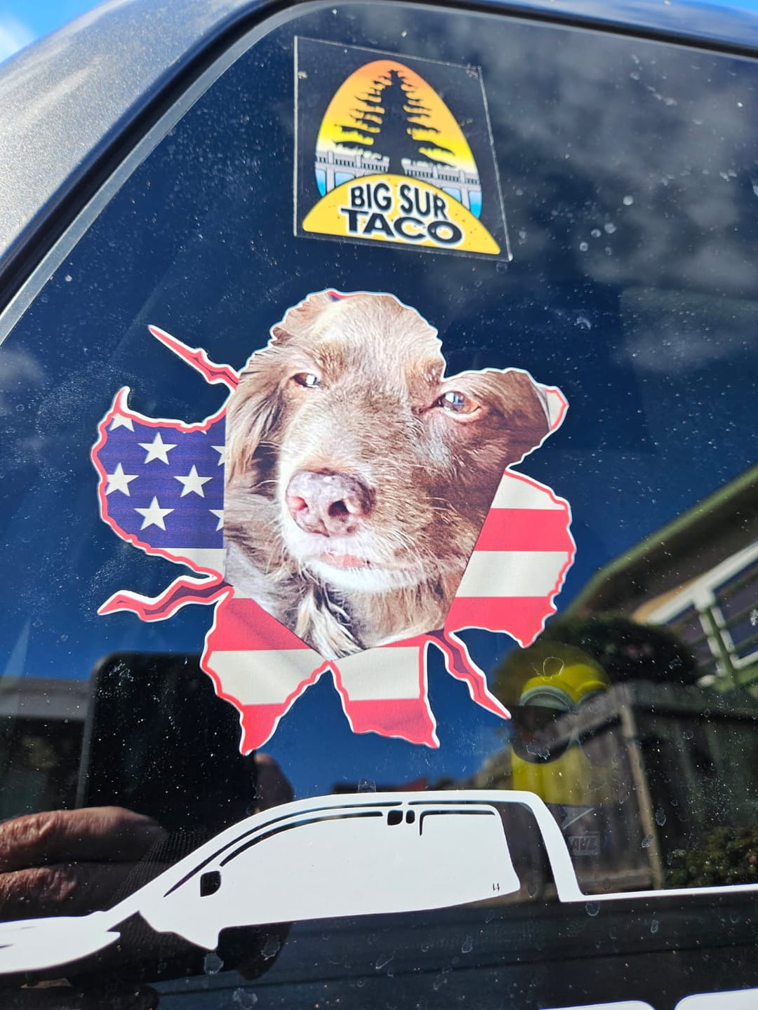 Customer photo review of Peeking photo – Personalized Car Sticker
