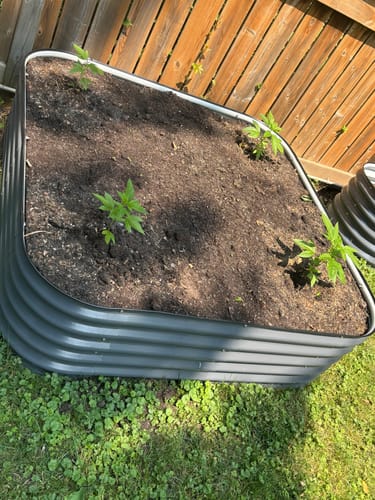 Customer photo review of 17” Tall Modular 9 in 1