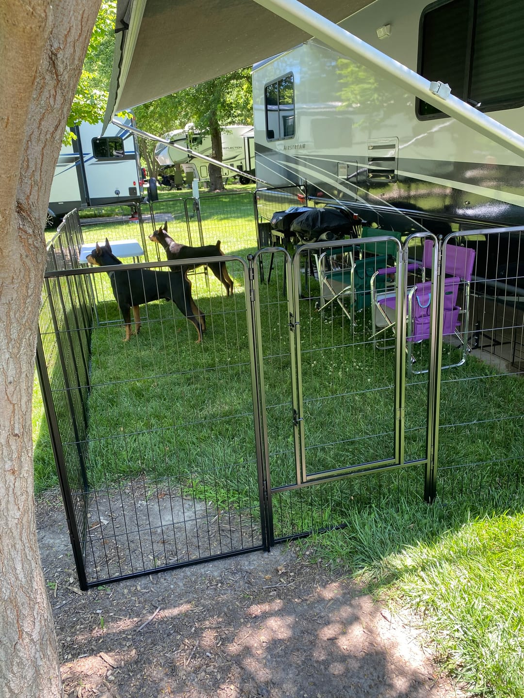 Customer photo review of Easy-Carry Straps for Carrying Your Dog Playpen