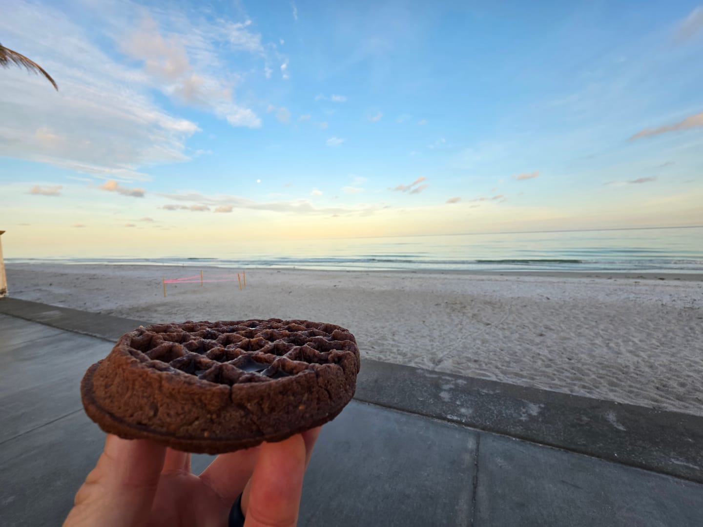 Customer photo review of Protein Waffles To Go (20x 2-packs)