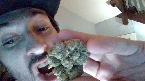 Customer photo review of Zoap - Bulk - Hybrid