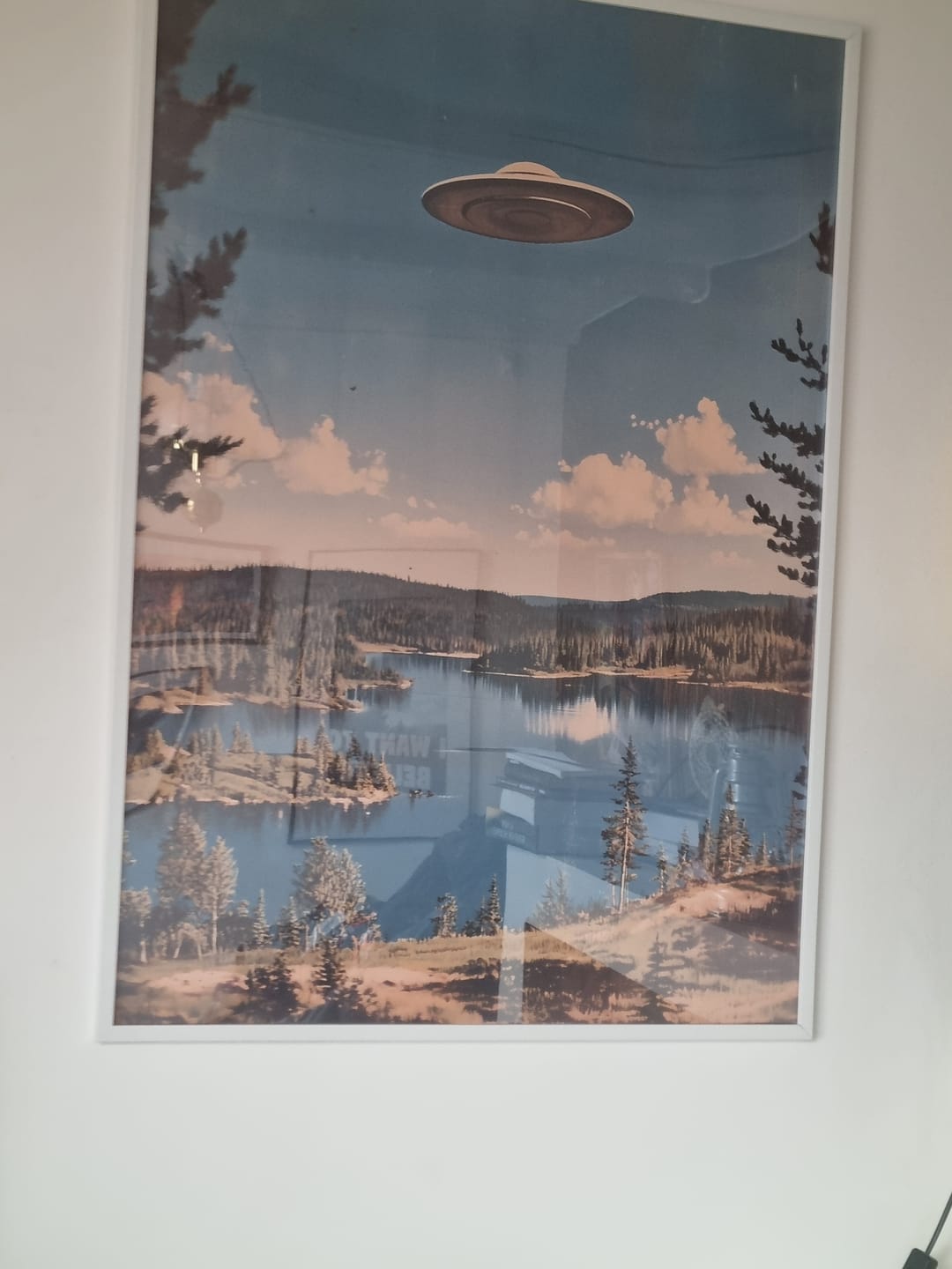 Customer photo review of UFO i Svensk Natur - Poster