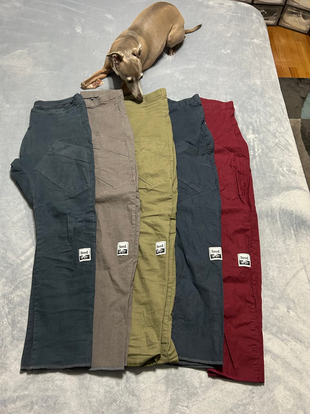 Customer photo review of Seconds Rack Pants