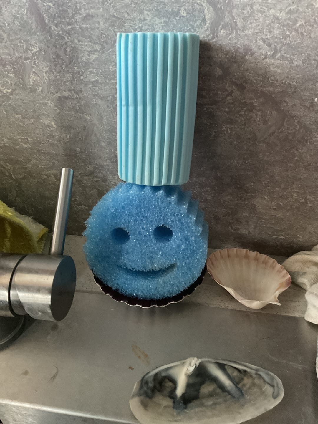 Customer photo review of Scrub Daddy Family (6 Pack)