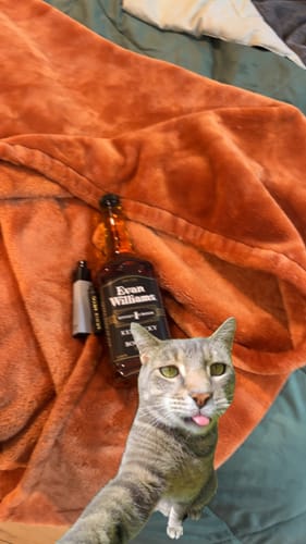 Customer photo review of Evan Williams Kentucky Bourbon Whiskey